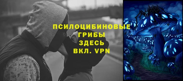 бошки Алзамай