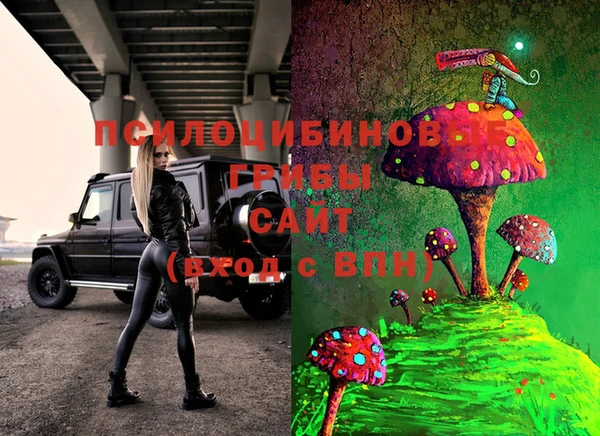 бошки Алзамай
