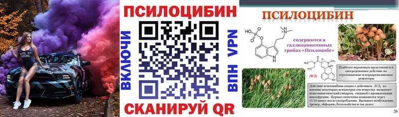 купить  цена  мега   Псилоцибиновые грибы мицелий  Миньяр 